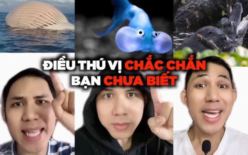 Kịch bản video những điều thú vị ít người biết